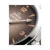235.10.38.20.13.001-Seamaster-Railmaster-OMEGA