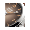 235.12.38.20.13.001-Seamaster-Railmaster-OMEGA