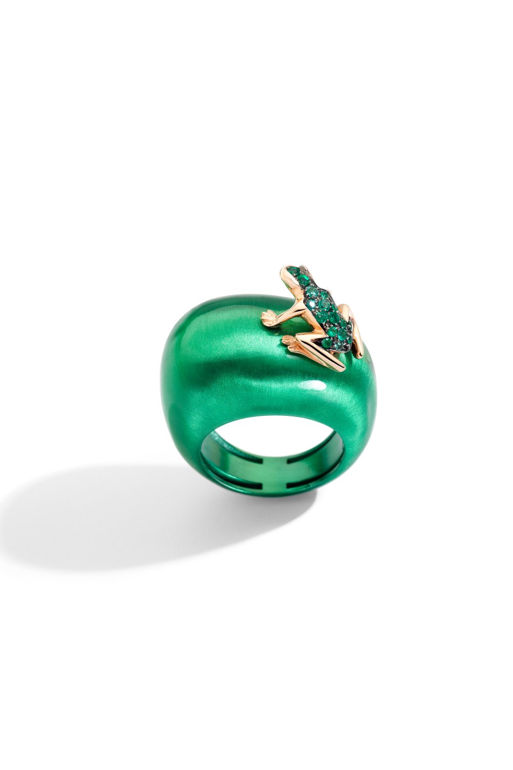 DADA ARRIGONI - Happy Frog Metal