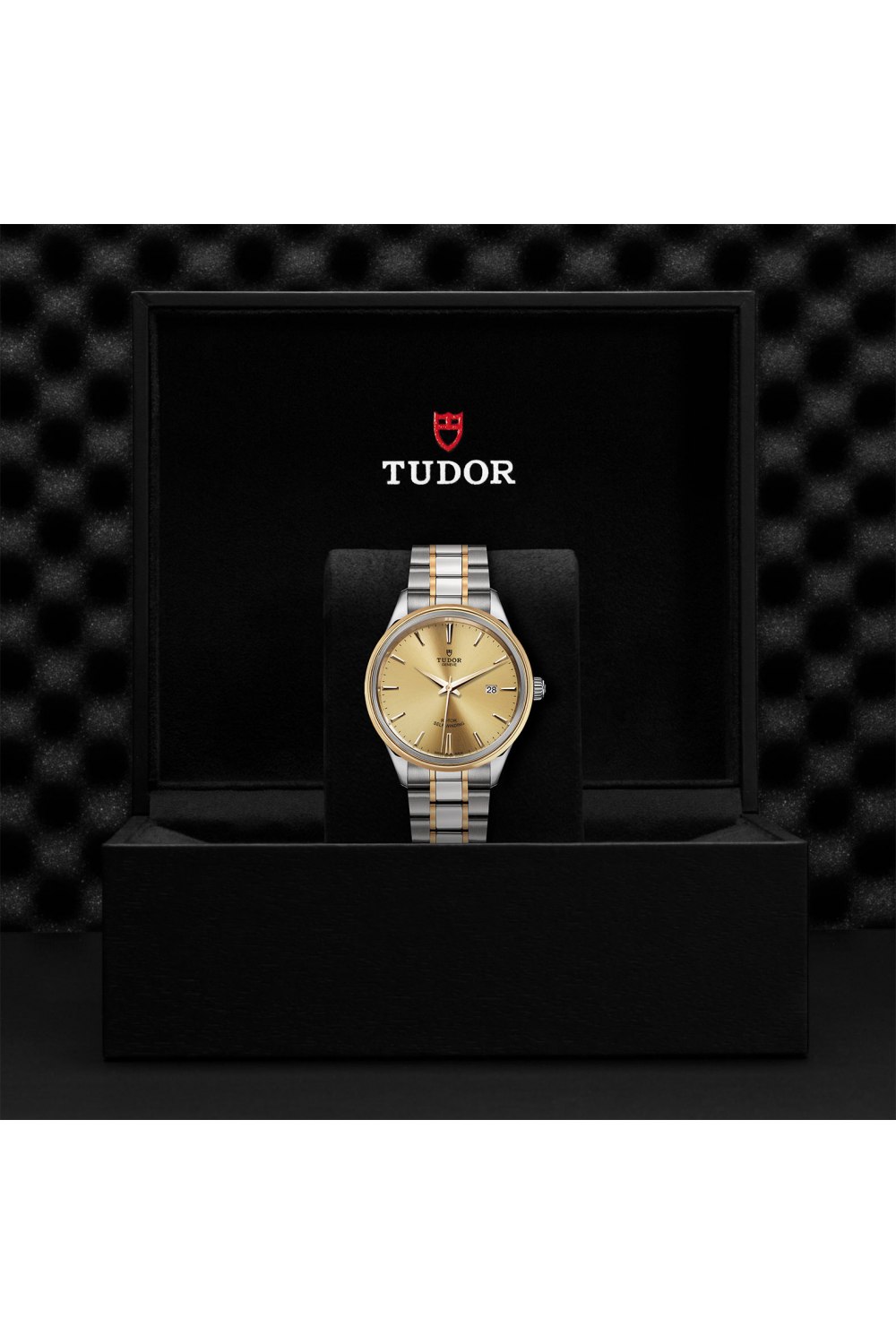 Tudor Style Steel and Gold