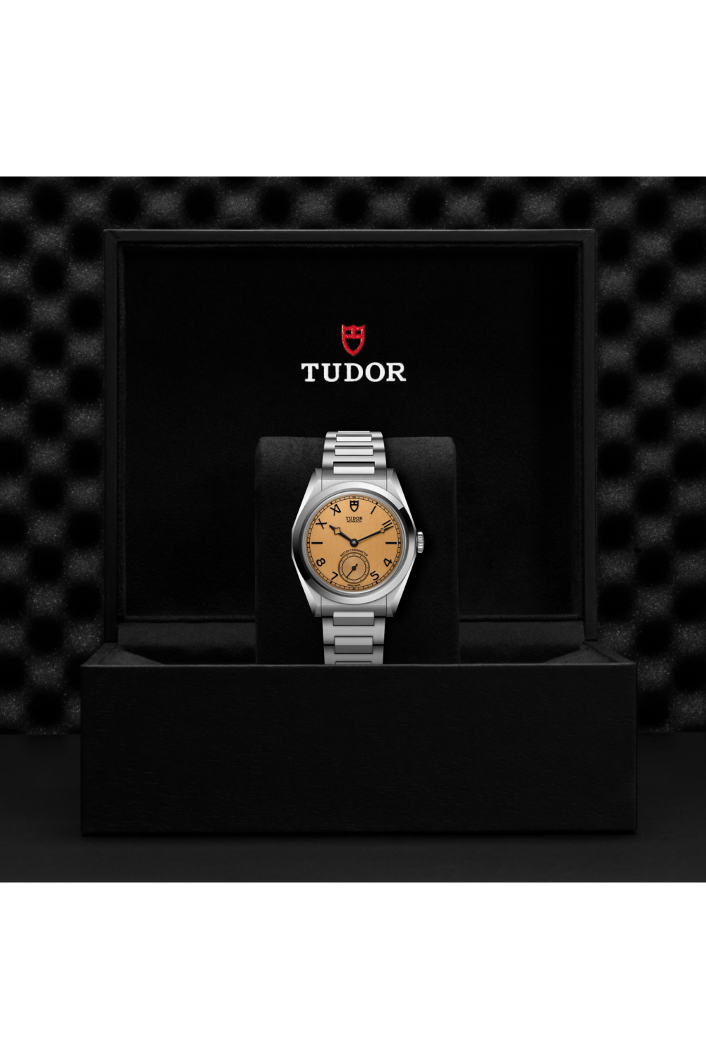 M2639W1A0U-0001-Tudor Monarch