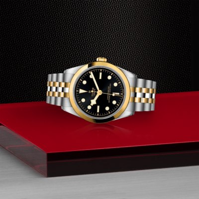 TUDOR - Black Bay 36 S&G