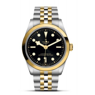 TUDOR - Black Bay 36 S&G