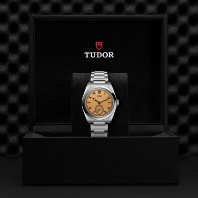 M2639W1A0U-0001-Tudor Monarch