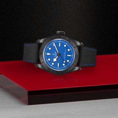 m79210cnu-0007-TUDOR-Kessaris