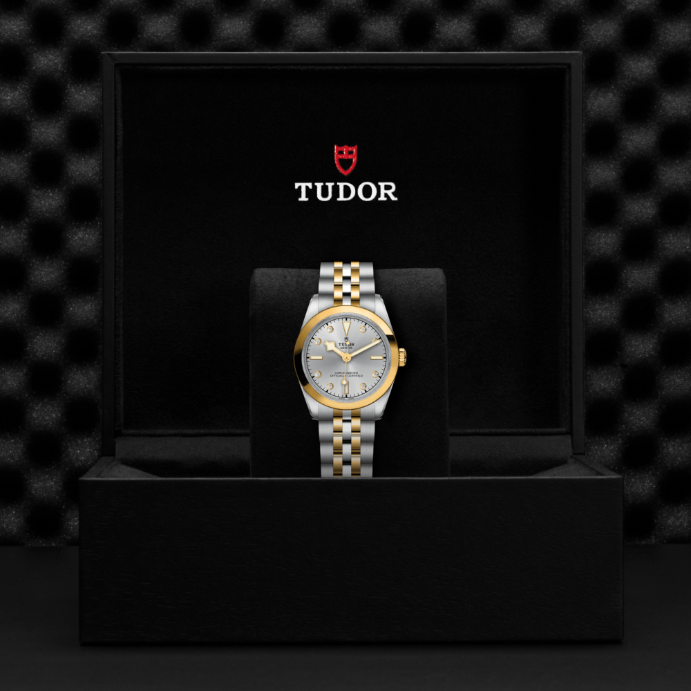 Black Bay One 31 S&G-M79603-0007-Tudor