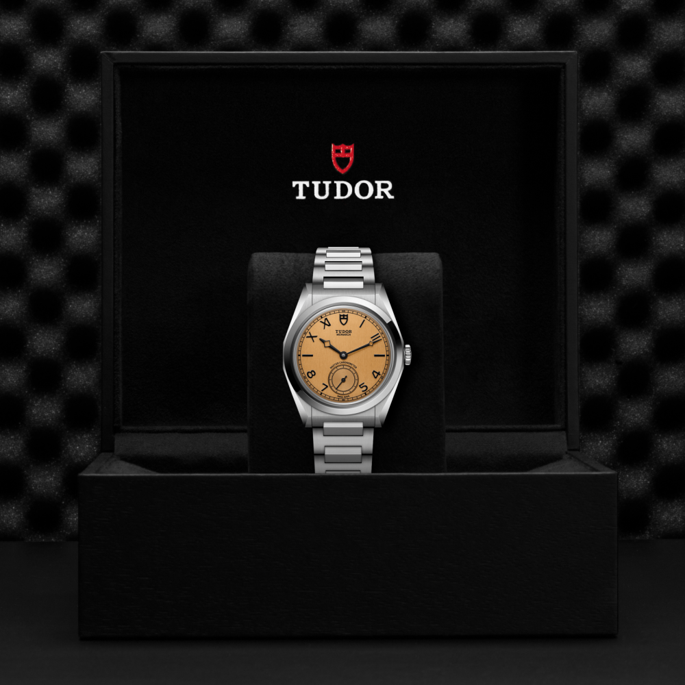 M2639W1A0U-0001-Tudor Monarch